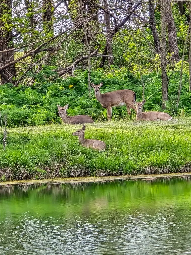 N/A Old State Road, Mattoon, IL 61938 - #2