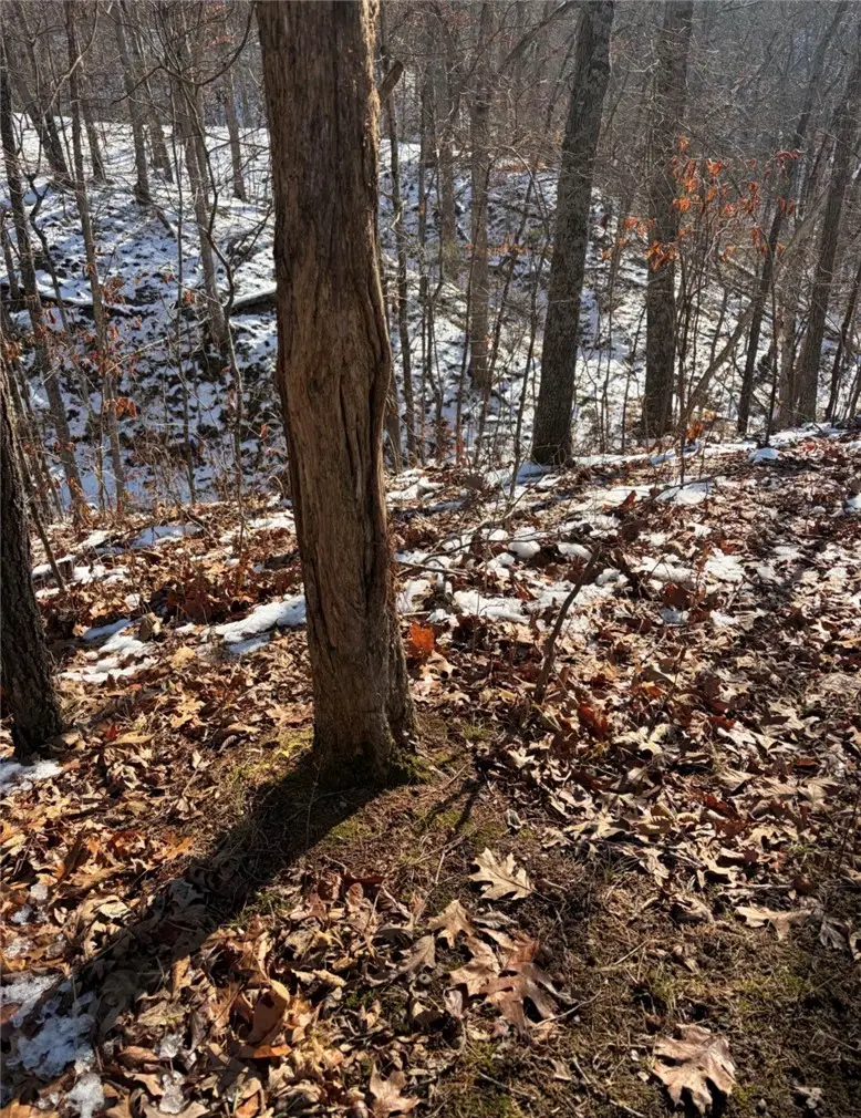 Harrison Street, Ashmore, IL 61912 - #2