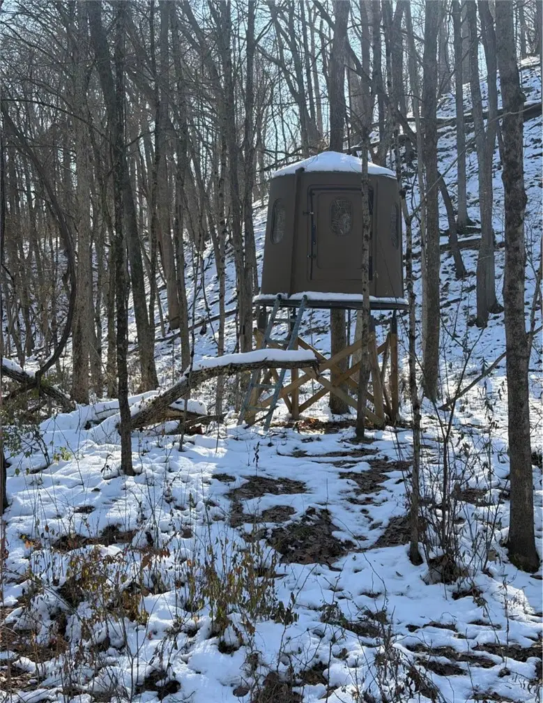 Harrison Street, Ashmore, IL 61912 - #3