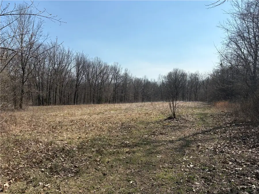 Goshawk Lane, Farina, IL 62838 - #2