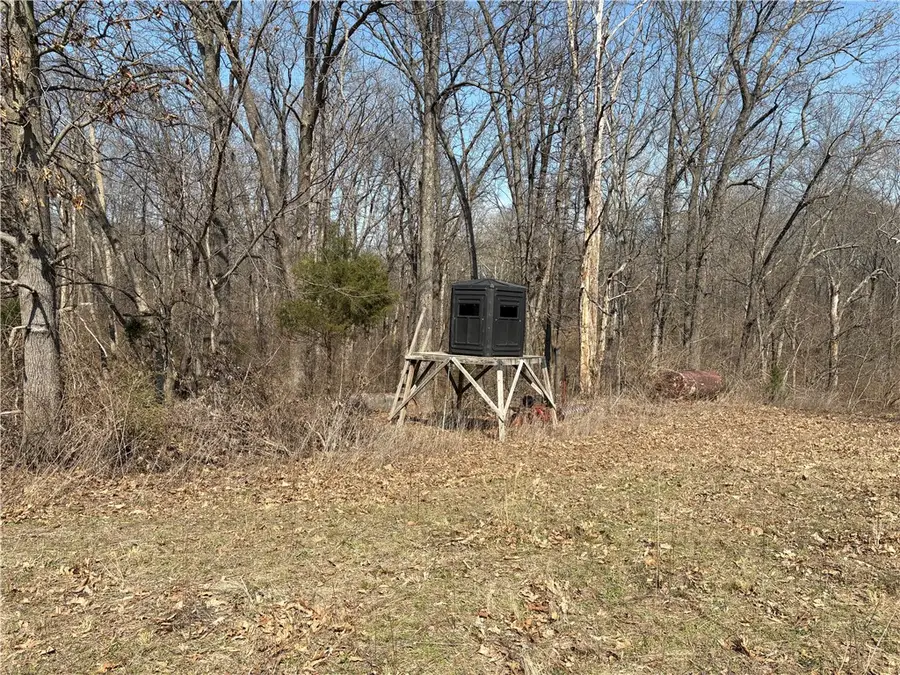 Goshawk Lane, Farina, IL 62838 - #3