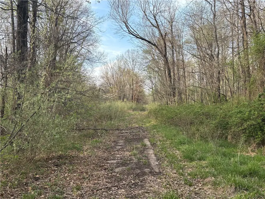 Applegate Road, Bridgeport, IL 62417 - #2