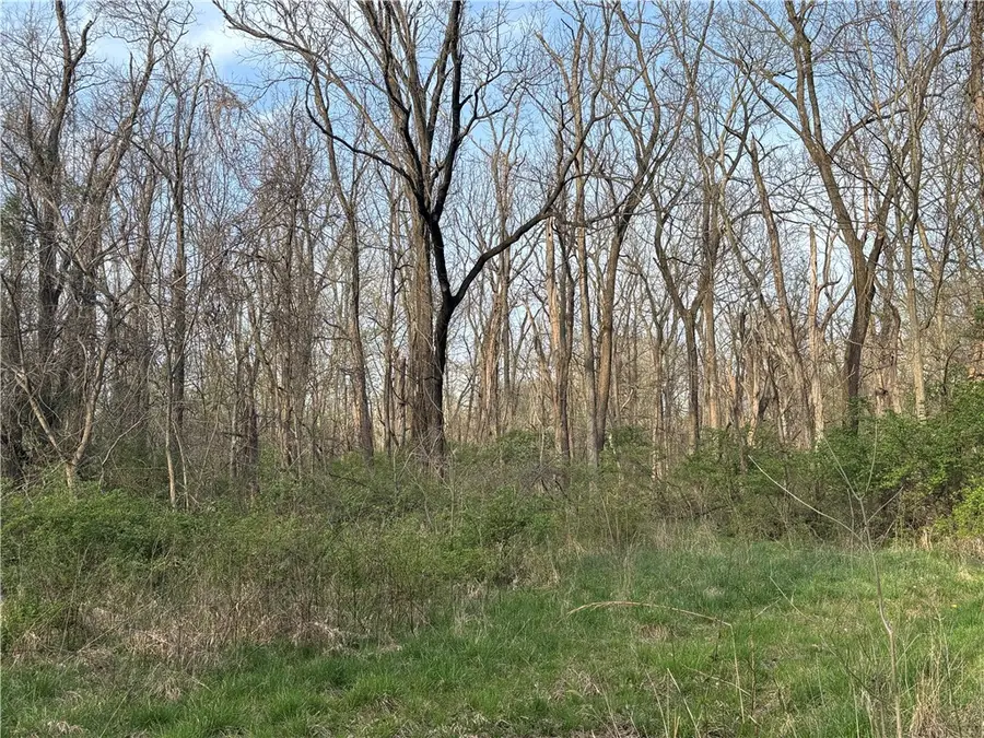 Applegate Road, Bridgeport, IL 62417 - #3