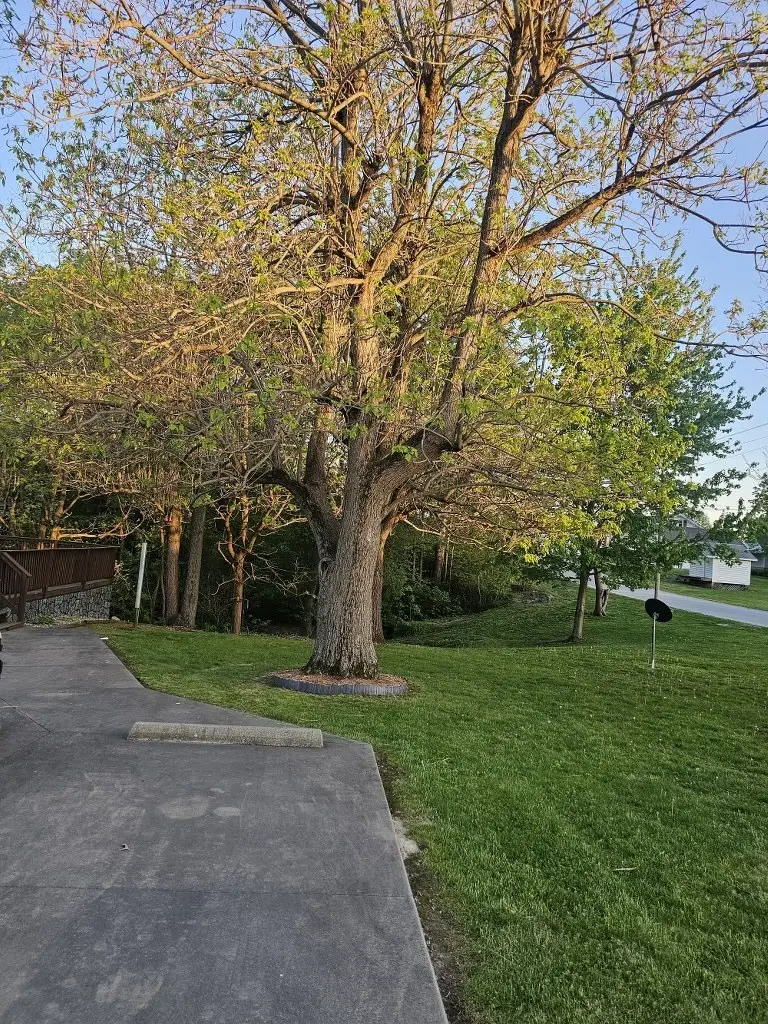 201 E Elizabeth Street, Greenup, IL 62428 - #2