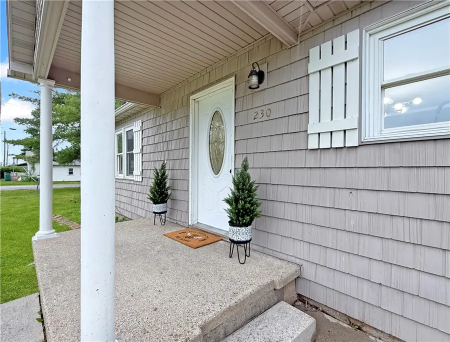 230 N Railroad Street, Dalton City, IL 61925 - #3