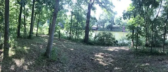 174 Beyers Lake Estate, Pana, IL 62557 - #3