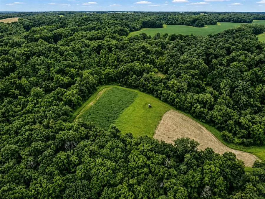 300 N Road, Lerna, IL 62440 - #3