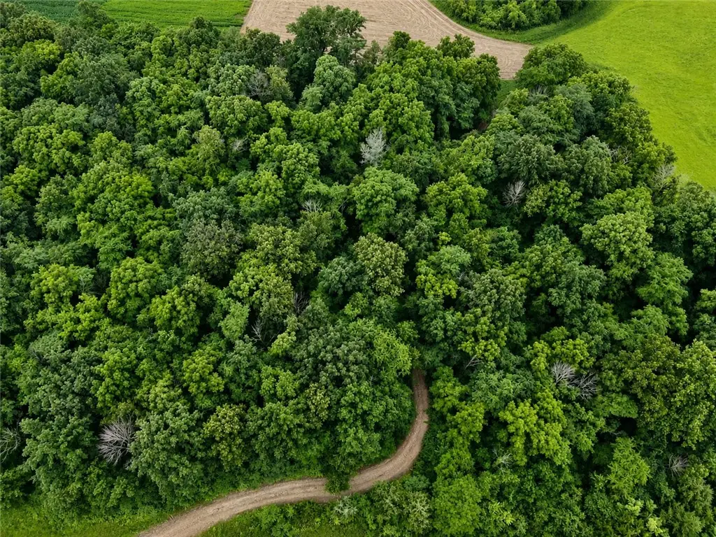 300 N Road, Lerna, IL 62440 - #1