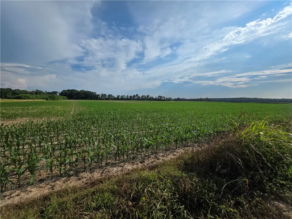 1800 E 700 North Road, Shelbyville, IL 62565 - #1