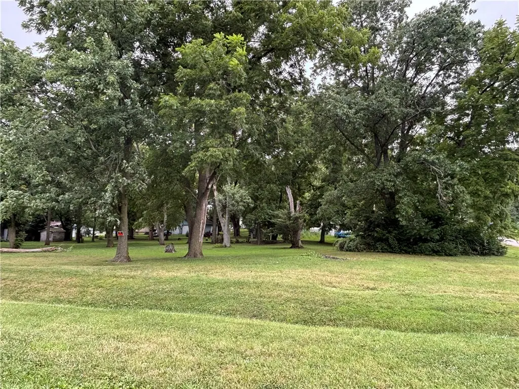 304 Filmore Street, Tower Hill, IL 62571 - #1