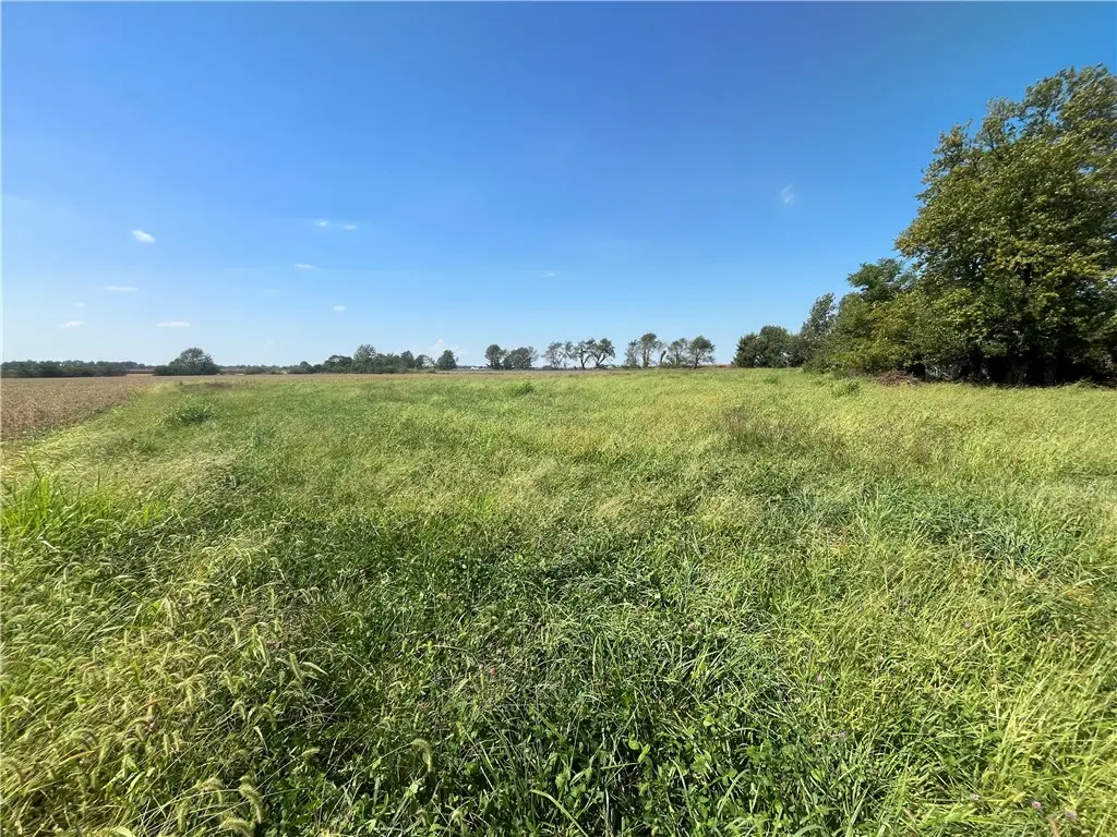 21103 N 2180th Street, Marshall, IL 62441 - #1