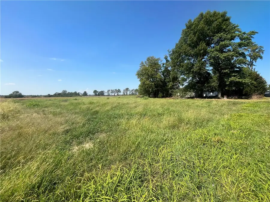 21103 N 2180th Street, Marshall, IL 62441 - #2