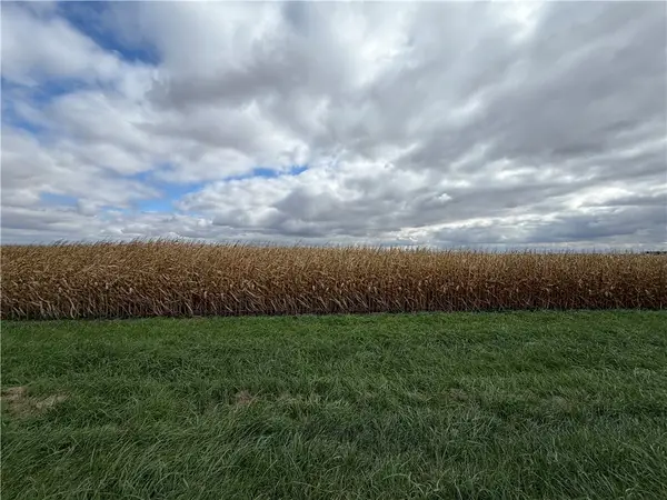 State Rte 49, Ogden, IL 61859