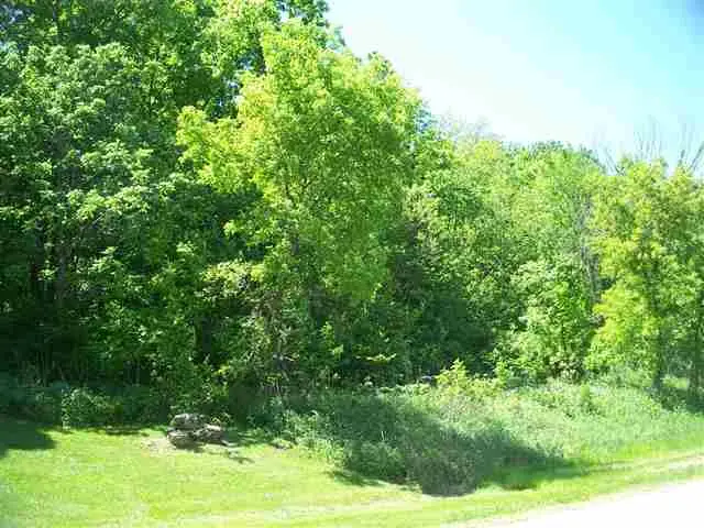 93 Heatherdowns Ln, Galena, IL 61036 - #1