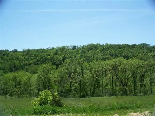 93 Heatherdowns Ln, Galena, IL 61036 - #3