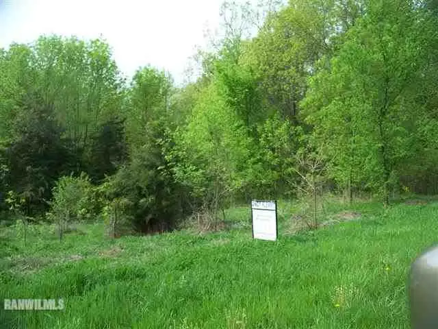 271 Blackhawk Trace, Galena, IL 61036 - #2