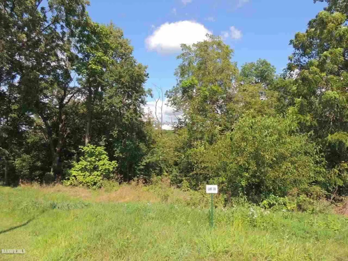 Lot 70 Ryan Court, Galena, IL 61036 - #1