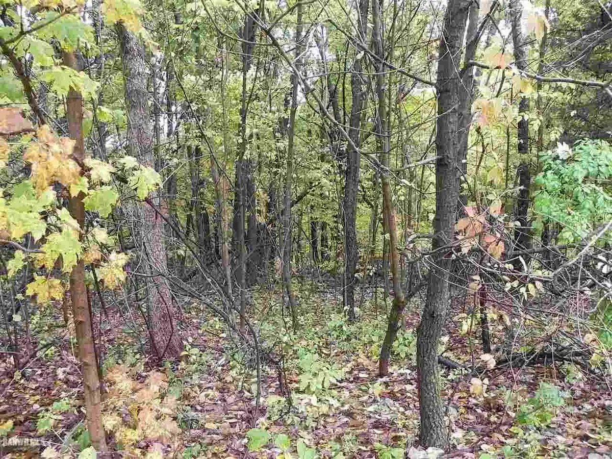 23 Stony Point, Galena, IL 61036 - #1