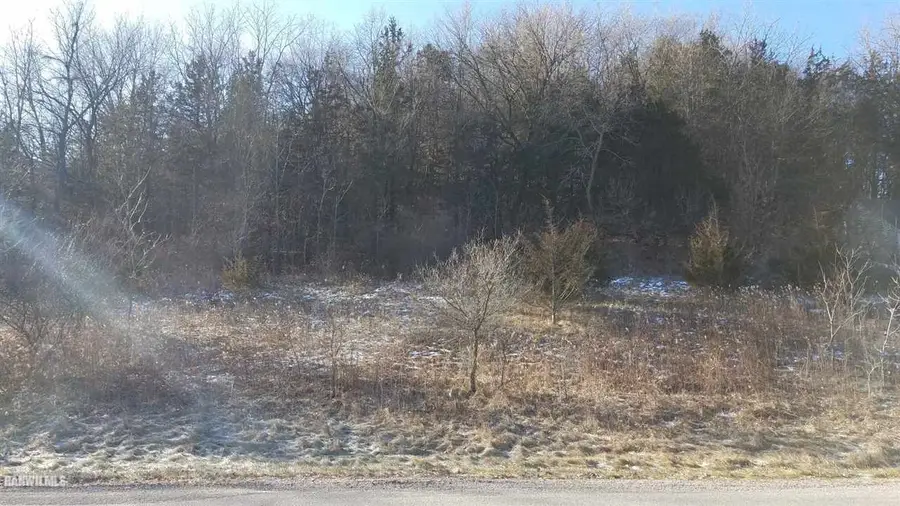 110 W Glen Hollow Road, Galena, IL 61036 - #2