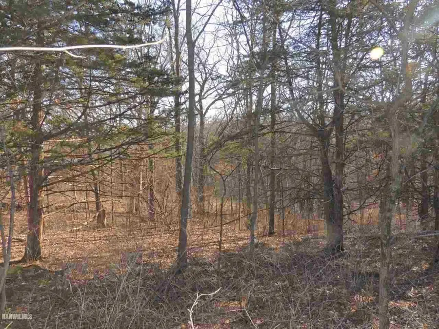 9 Cedar Rim Trail, Galena, IL 61036 - #2