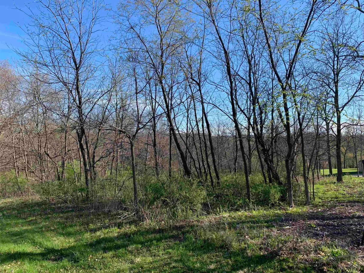 13 Hickory Trail, Galena, IL 61036 - #1