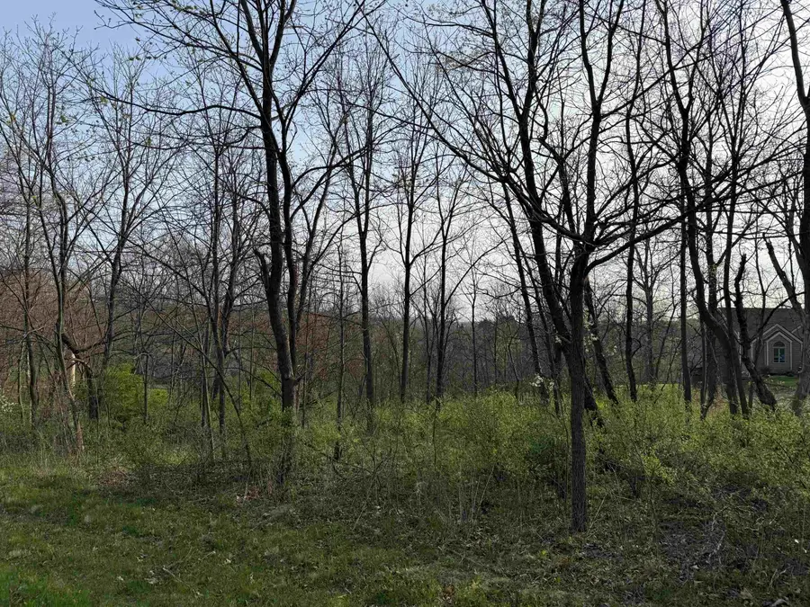13 Hickory Trail, Galena, IL 61036 - #3