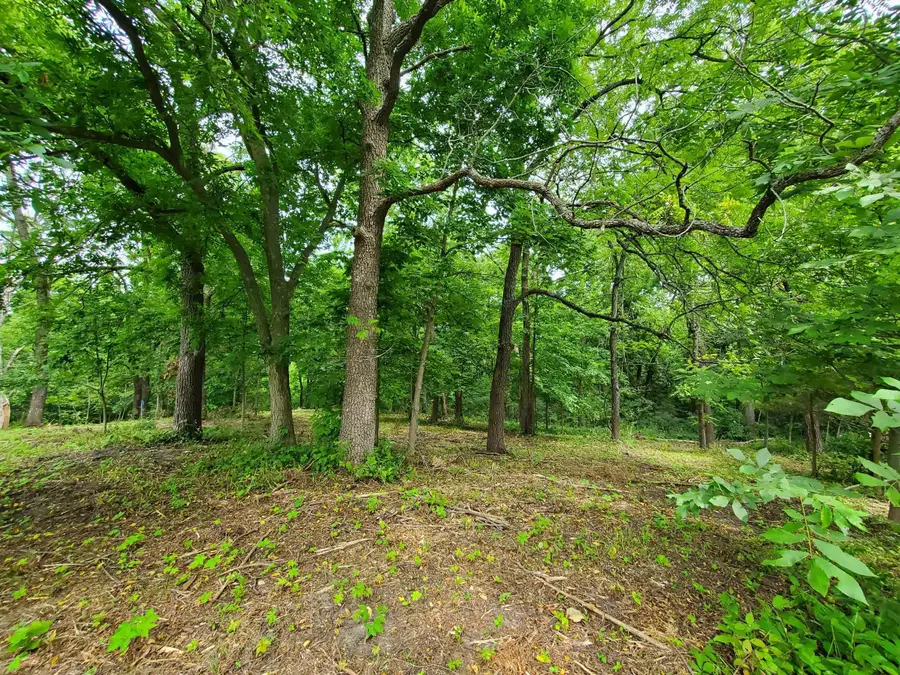 19 Timberline Drive, Galena, IL 61036 - #2
