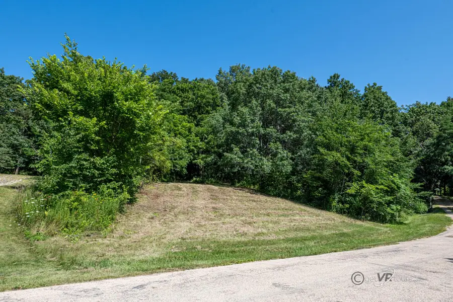 12 Saddleback Drive, Galena, IL 61036 - #3