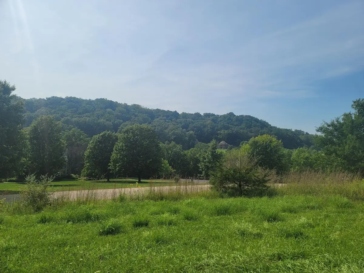 175 Cogan Drive, Galena, IL 61036 - #1