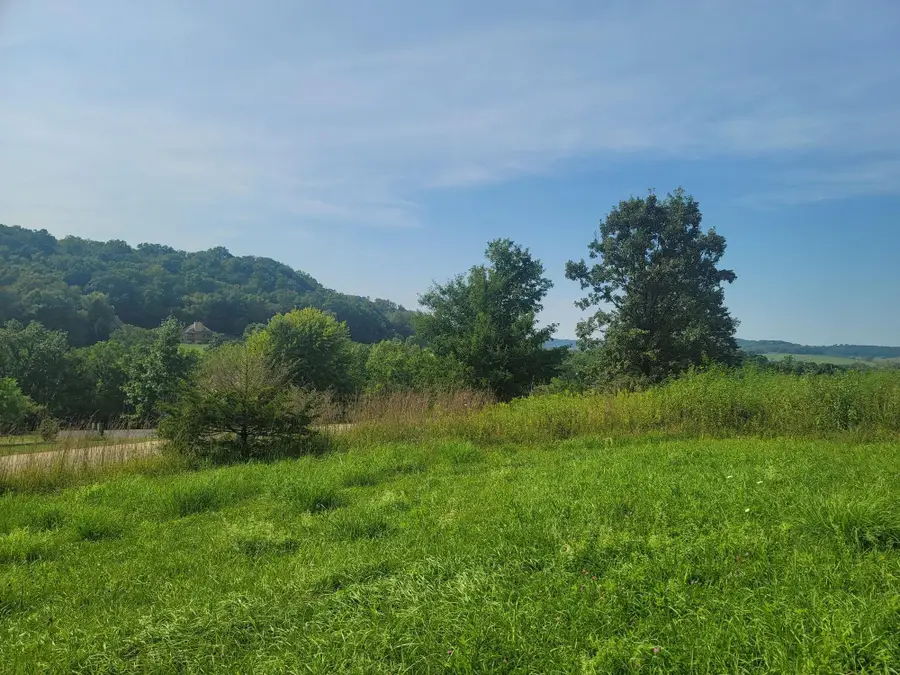 175 Cogan Drive, Galena, IL 61036 - #2