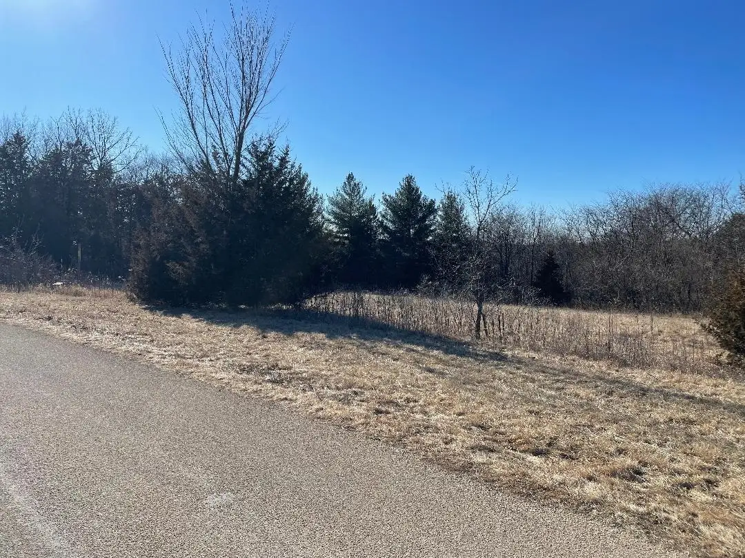 33 Lake Ridge Road, Galena, IL 61036 - #1