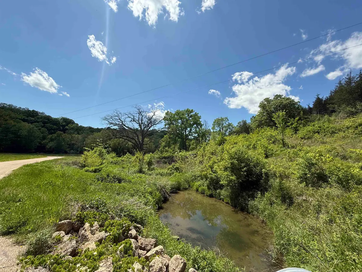 8244 Creek Crossing Court, Galena, IL 61036 - #1