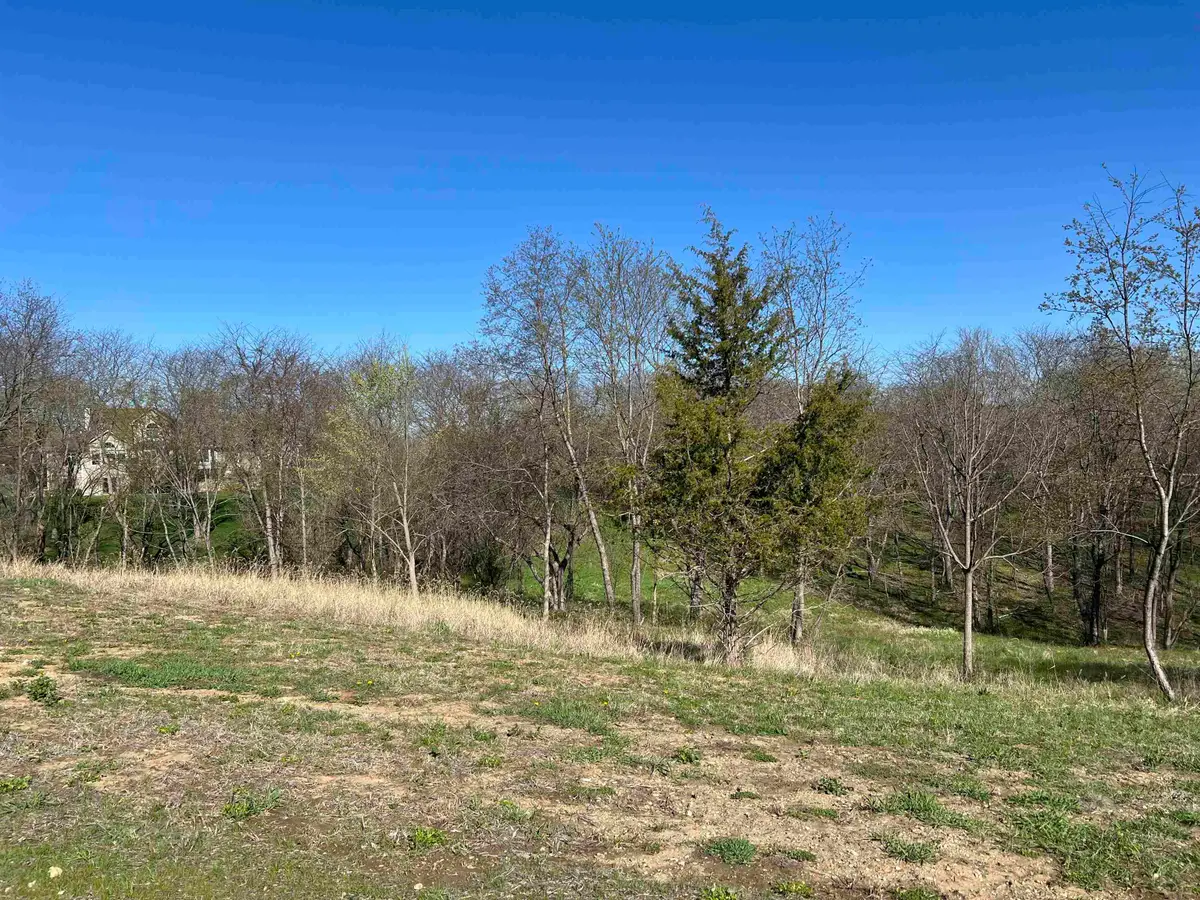Lot 9 Galena Golf View Estates - Phase II, Galena, IL 61036 - #1