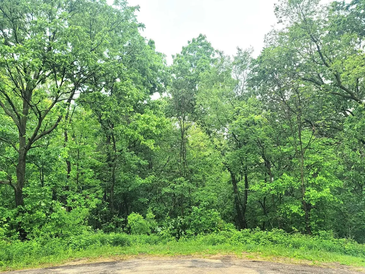 4 Hillside Court, Galena, IL 61036 - #1