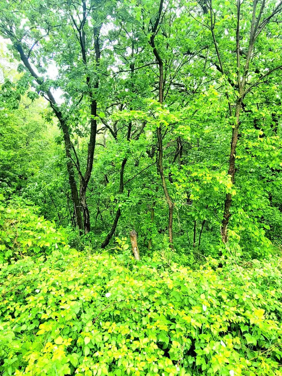 4 Hillside Court, Galena, IL 61036 - #3