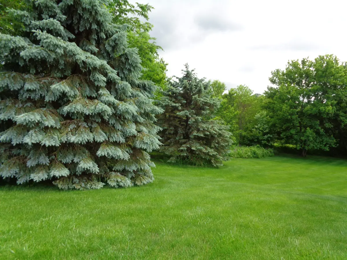 2 Fawn Lane, Galena, IL 61036 - #1