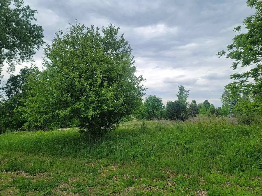 2 Moraine Way, Galena, IL 61036 - #2