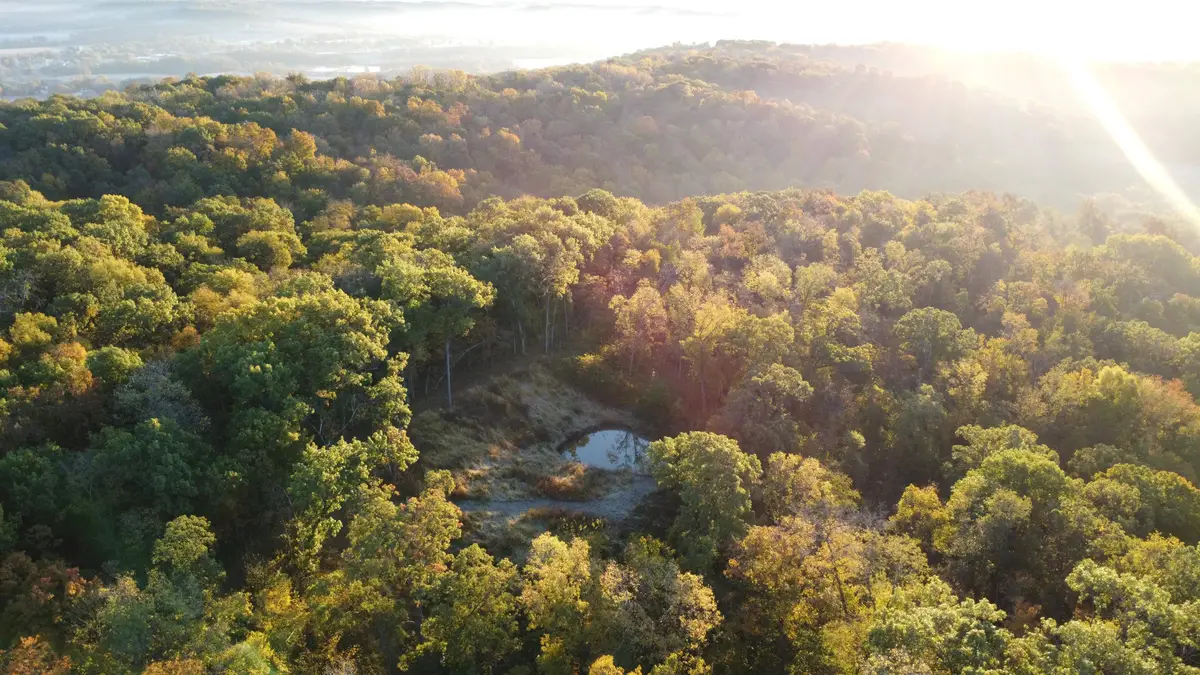 78+/- Acres TBD W Blanding Road, Hanover, IL 61041 - #1
