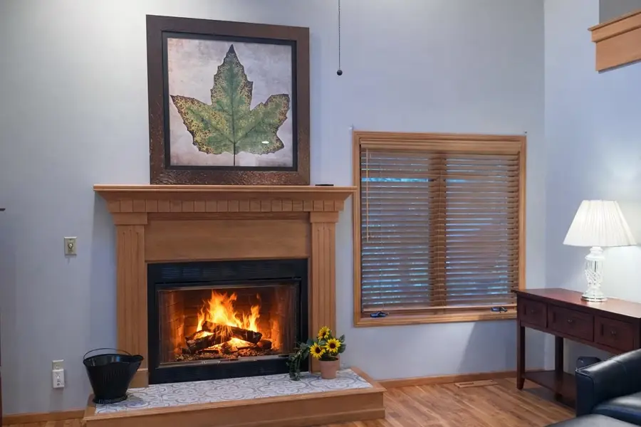 3 Hawthorn Lane, Galena, IL 61036 - #2