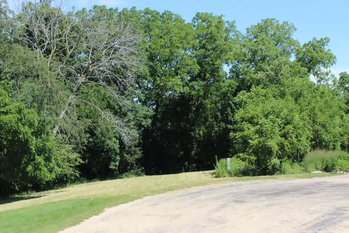 18 Goldenrod Lane, Galena, IL 61036 - #1