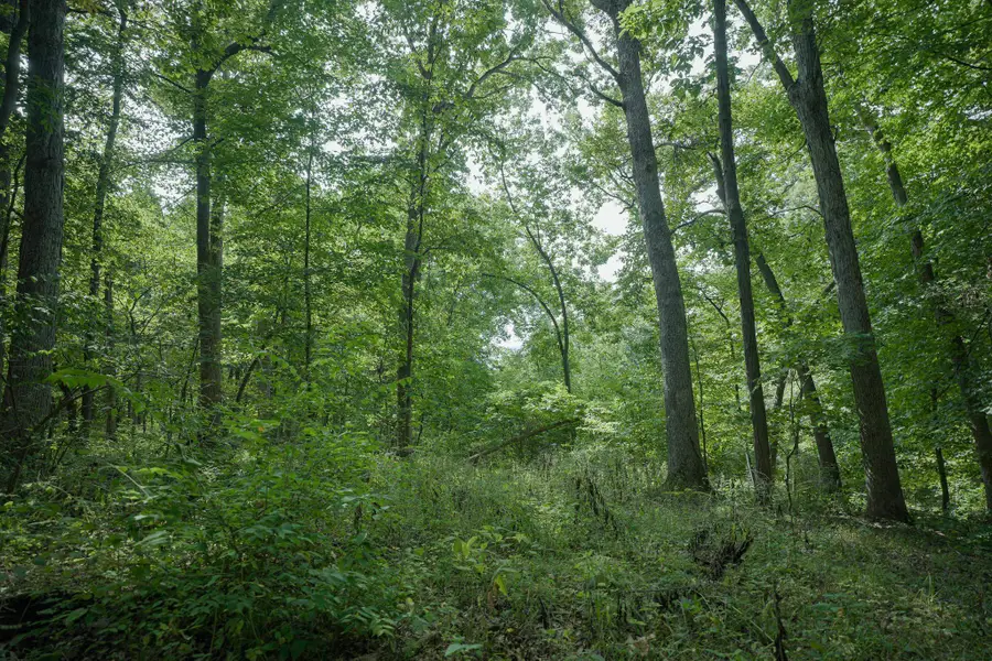 4820 Kopper Pond Rd., Hanover, IL 61041 - #2