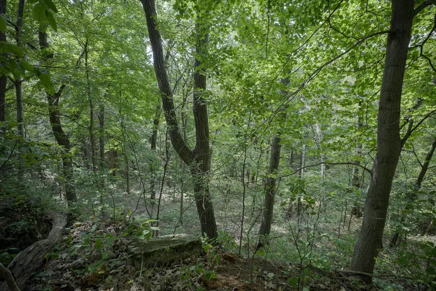 4820 Kopper Pond Rd., Hanover, IL 61041 - #3