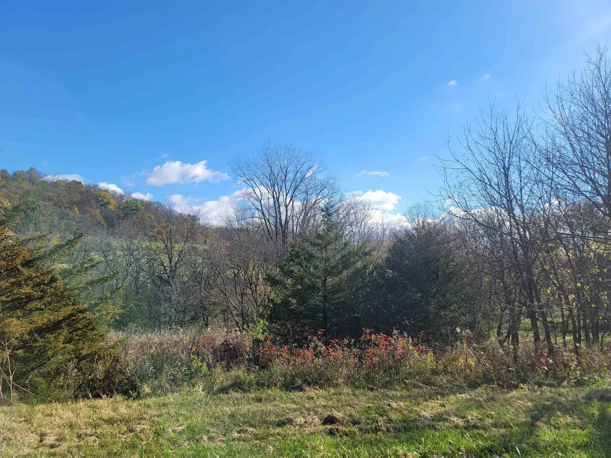 62 Heatherdowns Lane, Galena, IL 61036 - #1