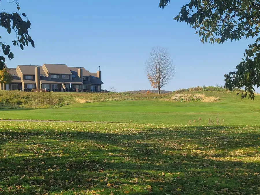 4 Hickory Trail, Galena, IL 61036 - #3