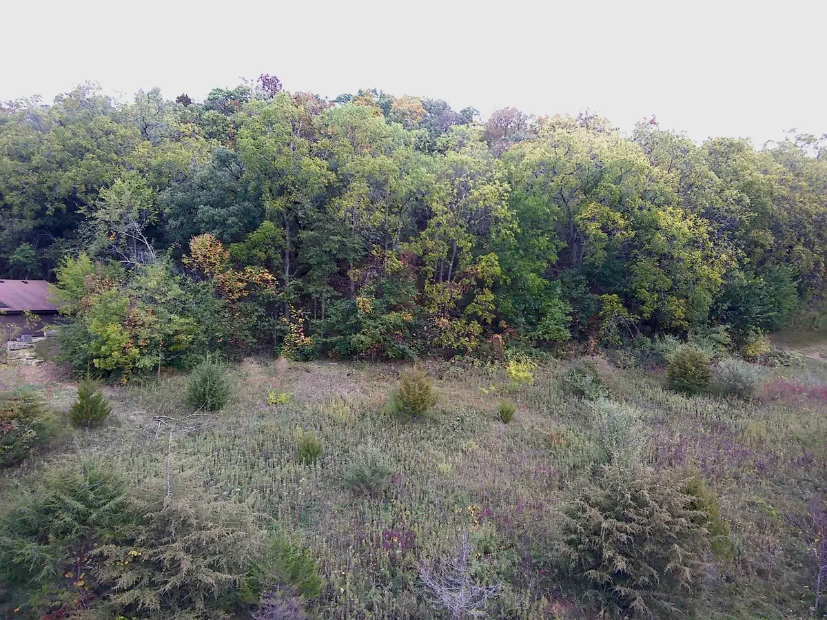 49 Sugarcreek Trail, Galena, IL 61036 - #1
