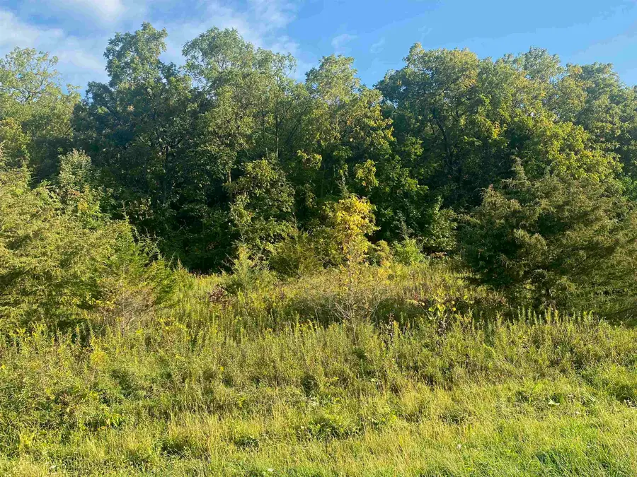 49 Sugarcreek Trail, Galena, IL 61036 - #2