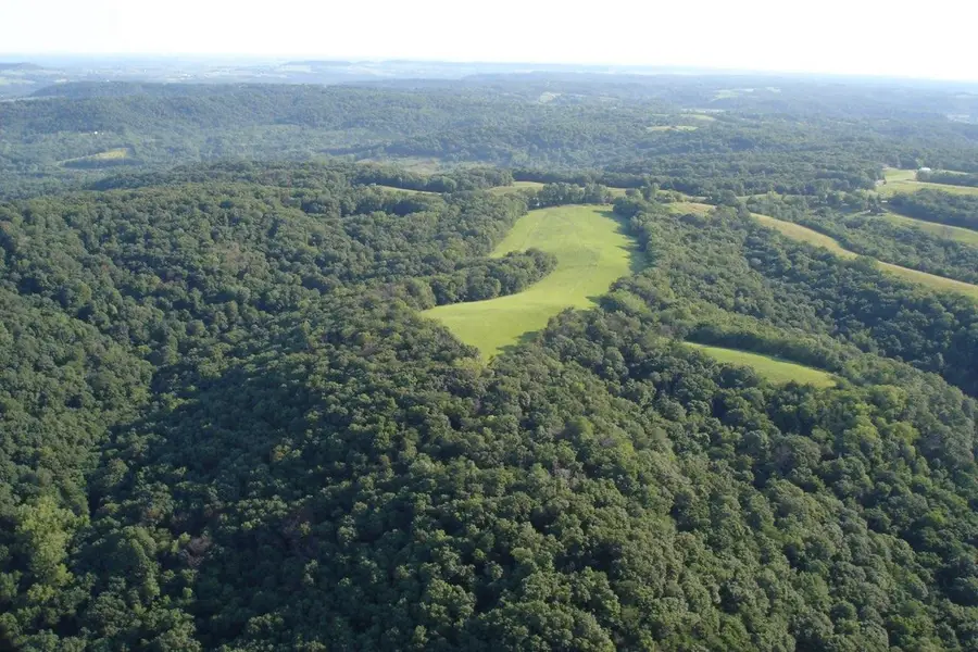 TBD W Chestnut Mountain Road, Hanover, IL 61041 - #3