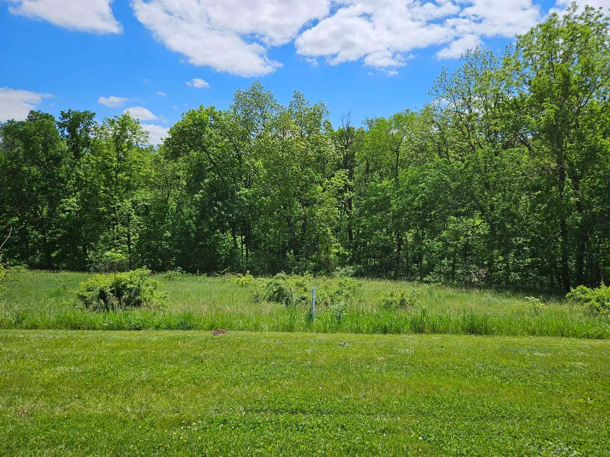 TBD Gig Drive (Lot 22), Galena, IL 61036 - #1