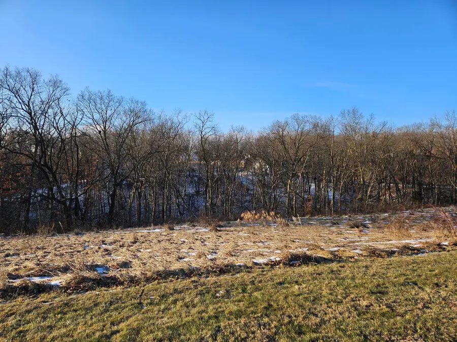 TBD Gig Drive (Lot 23), Galena, IL 61036 - #3