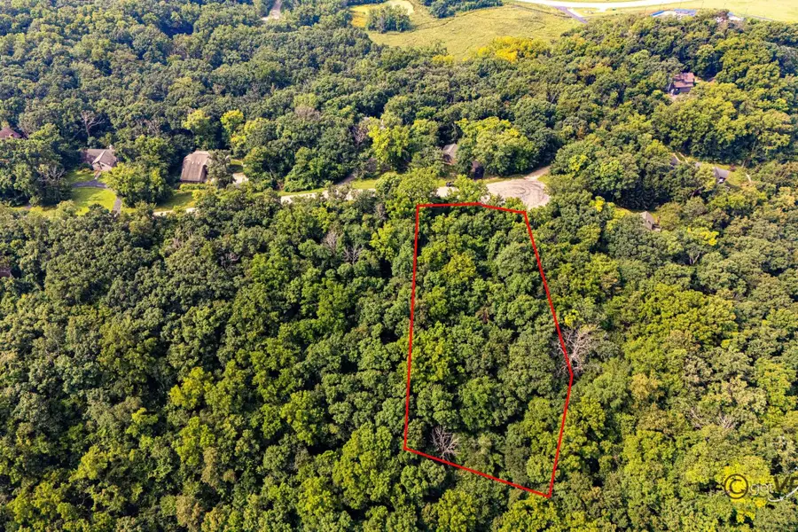 45 Lookout Trace, Galena, IL 61036 - #3